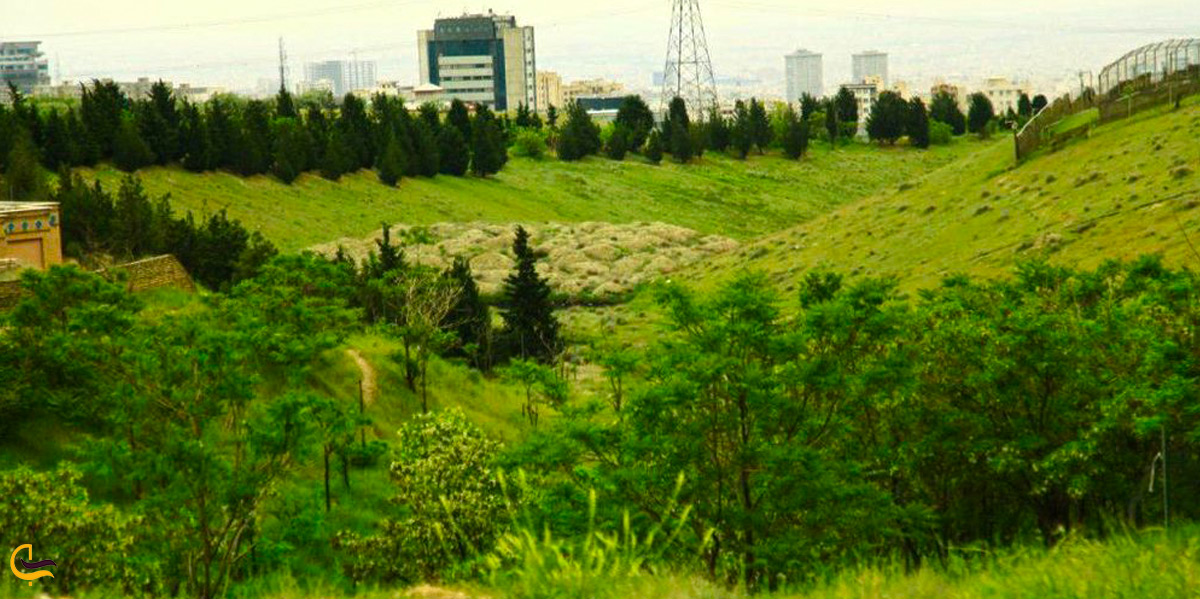 پوشش گیاهی تهران