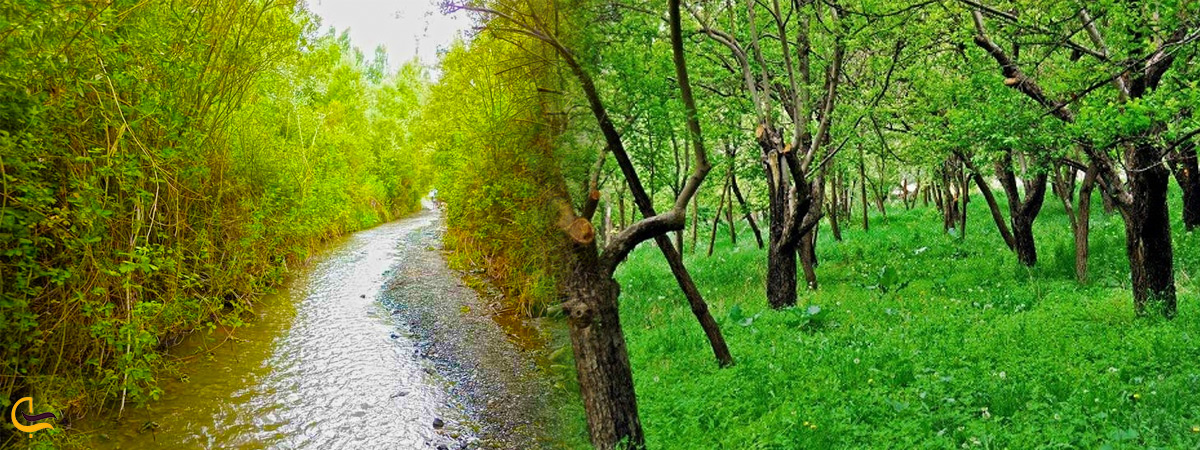 روستای گردشگری حصار