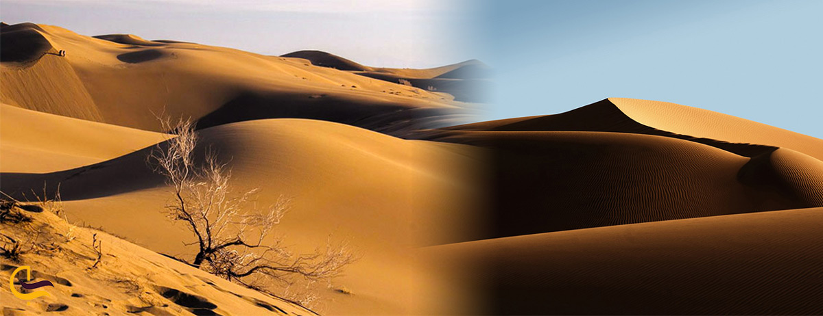 پوشش گیاهی کویر مرنجاب