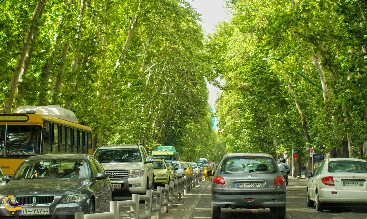 آرامشی میان دو خیابان شلوغ تهران