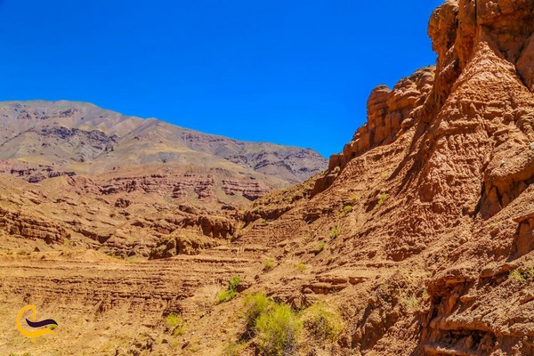 درّهی پرستوهای نیشابور