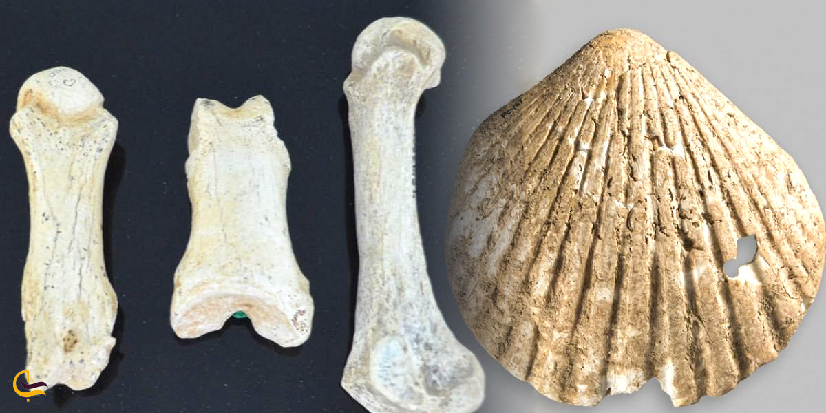 فراپارینه سنگی جدید