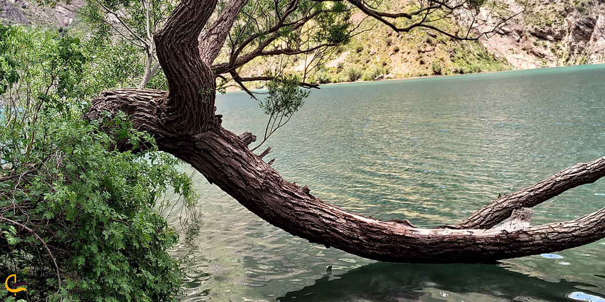 تصویری از دریاچه گهر