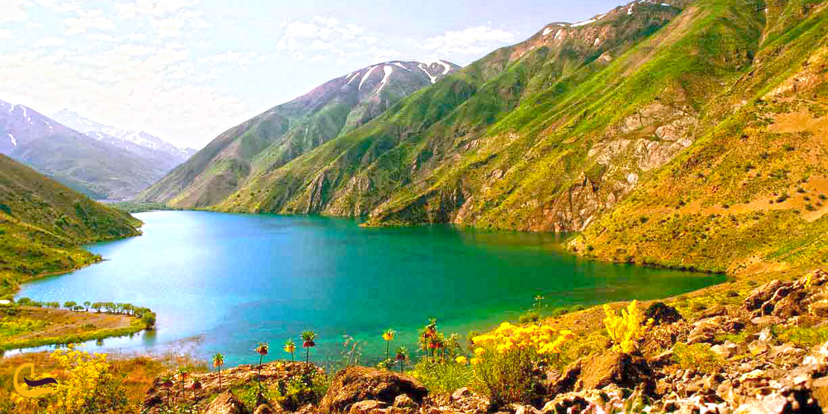 پوشش گیاهی اطراف دریاچه گهر