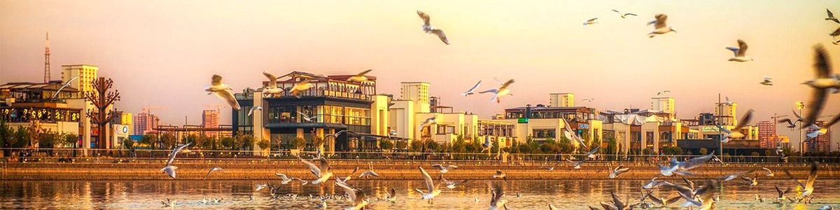 معماری بام لند