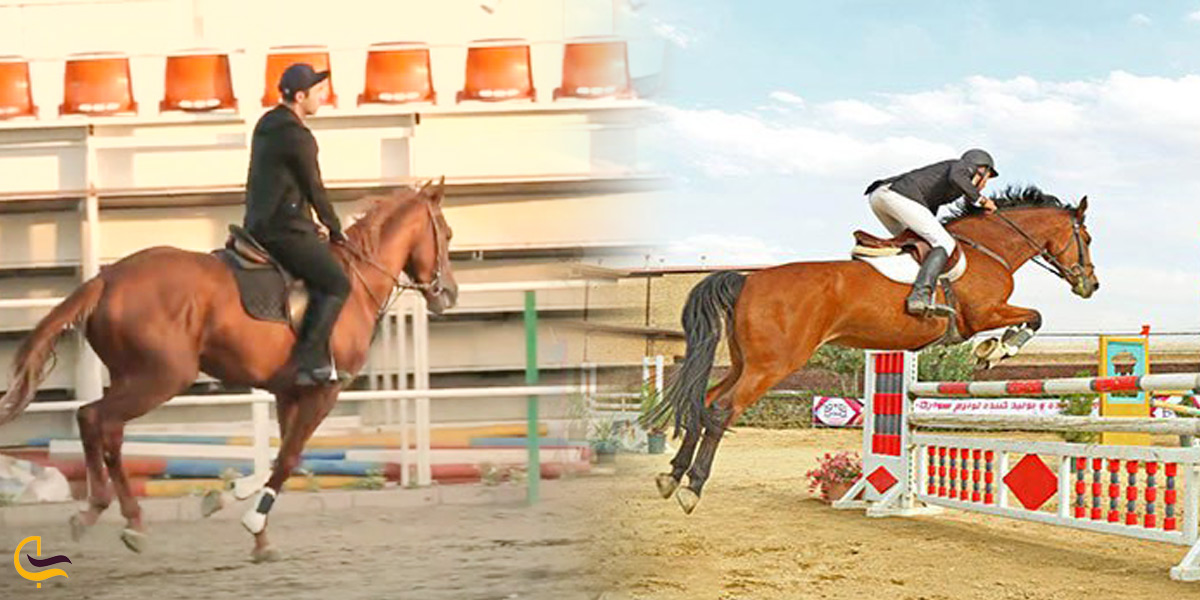 سوارکاری بام لند