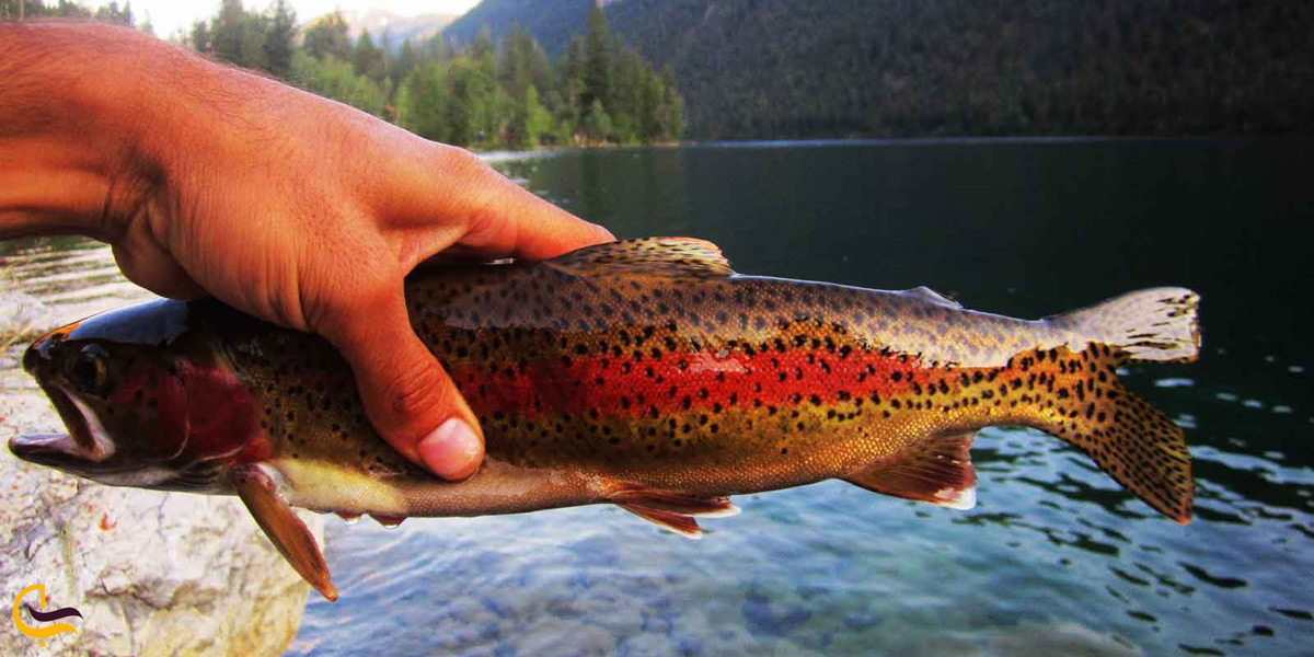 ماهی گیری در دریاچه گهر
