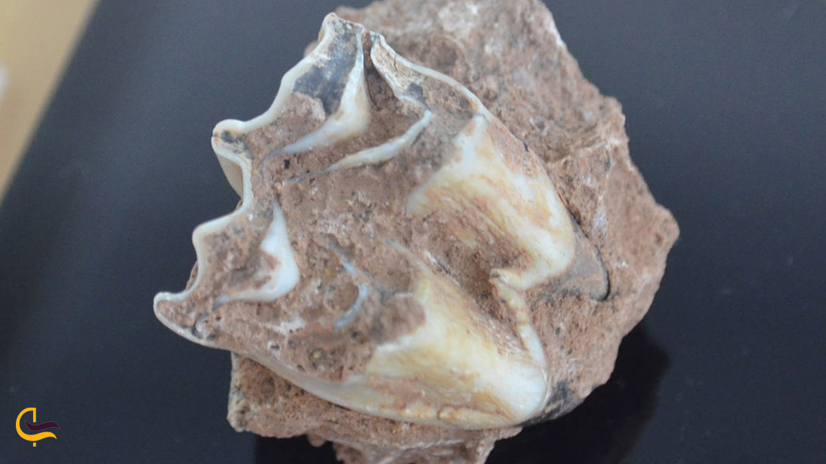 پارینه سنگی قدیم