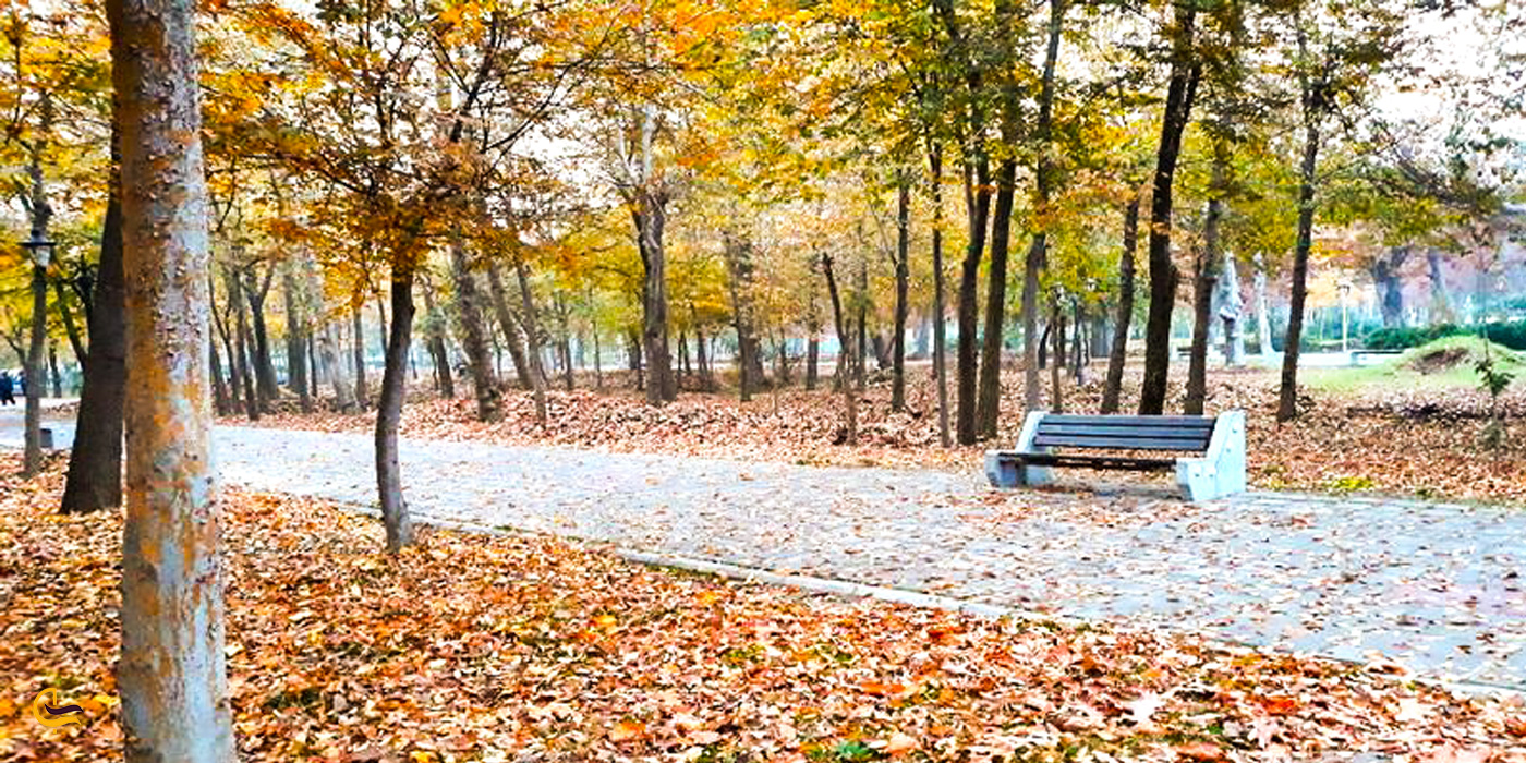 نمایی پاییزی از پارک شهر تهران