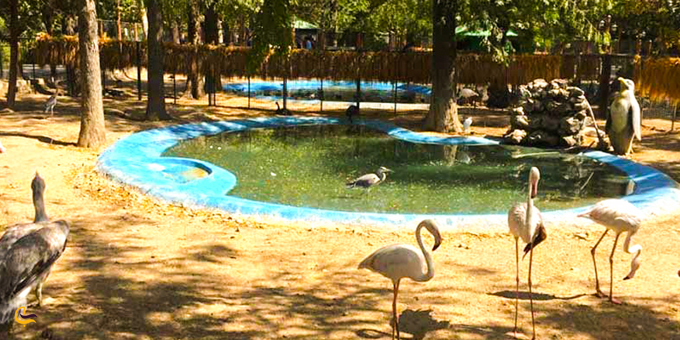 باغ پرندگان پارک شهر تهران