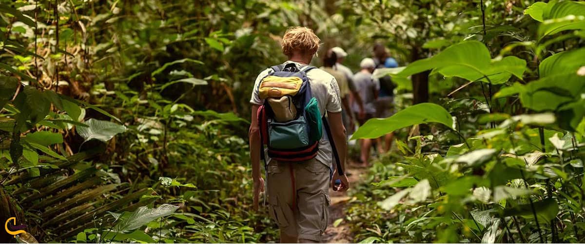 تجهیزات مورد نیاز برای جنگل نوردی