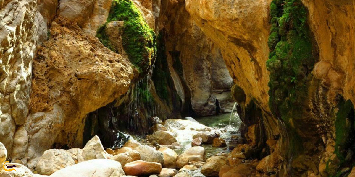 حوضچه های کال جنی