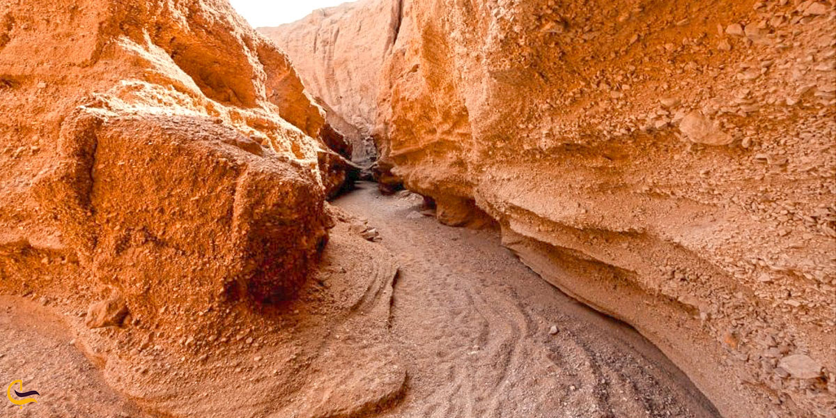 راهروهای کال جنی