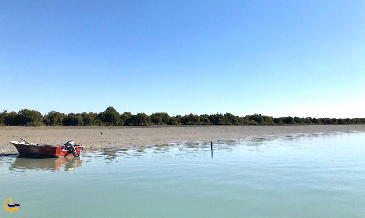 قایق سواری در جنگل های حرا