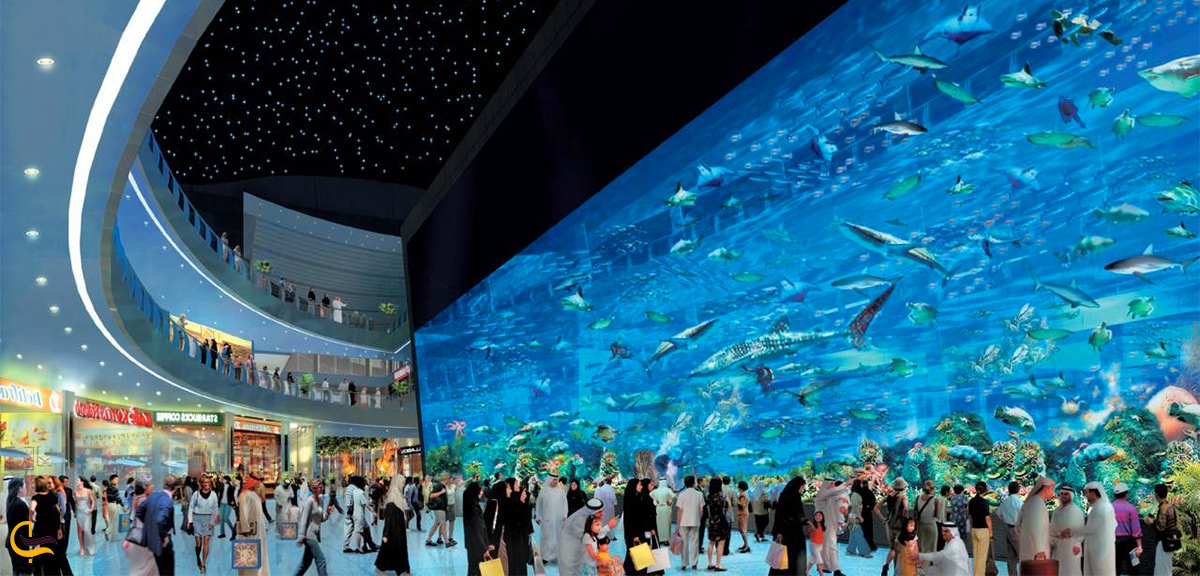 آکواریوم دبی مال