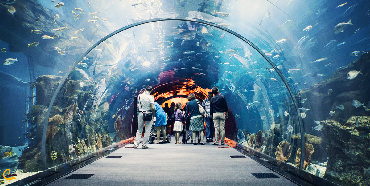 آکواریوم دبی مال