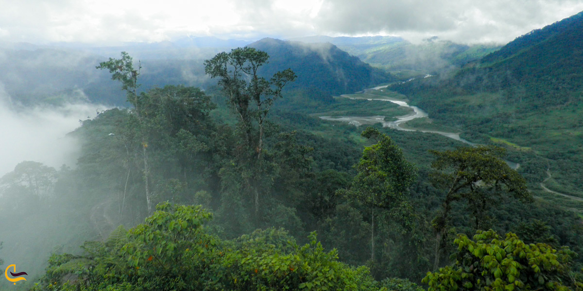 چشمه های جنگل ابر