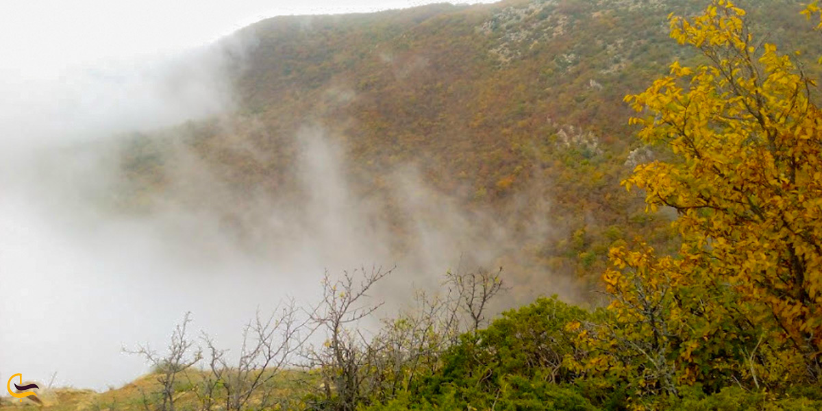 طبیعت پاییزی جنگل ابر