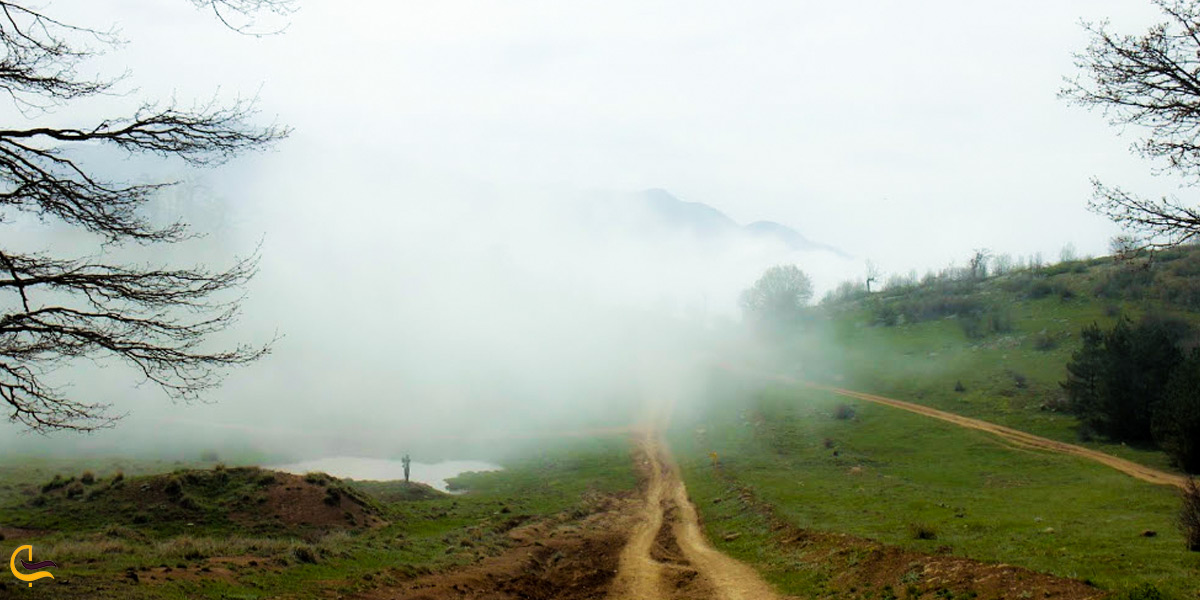 راهروهای هیجان انگیز جنگل ابر