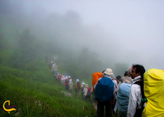 پیاده روی گروهی در جنگل ابر