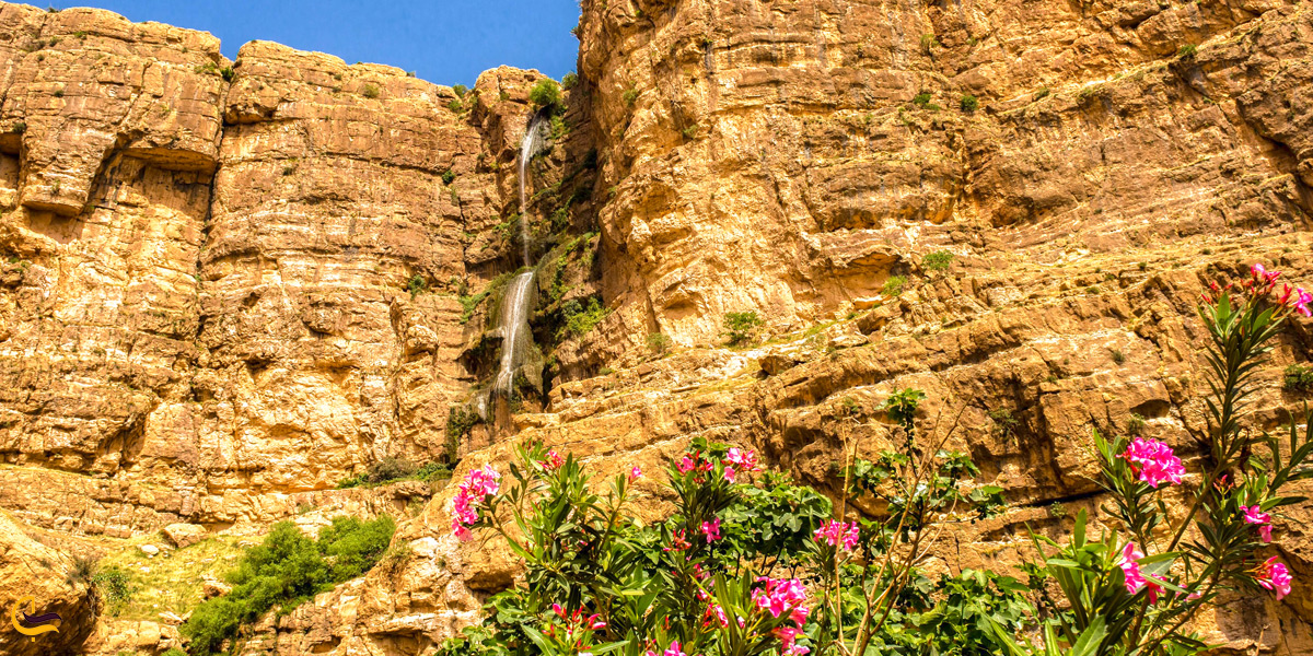 گل‌های زیبا اطراف آبشار پیران