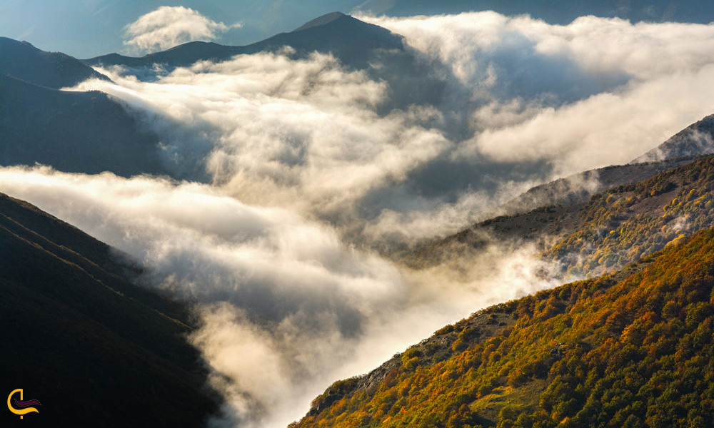 نمایی زیبا از جنگل‌های پوشیده شده از ابر