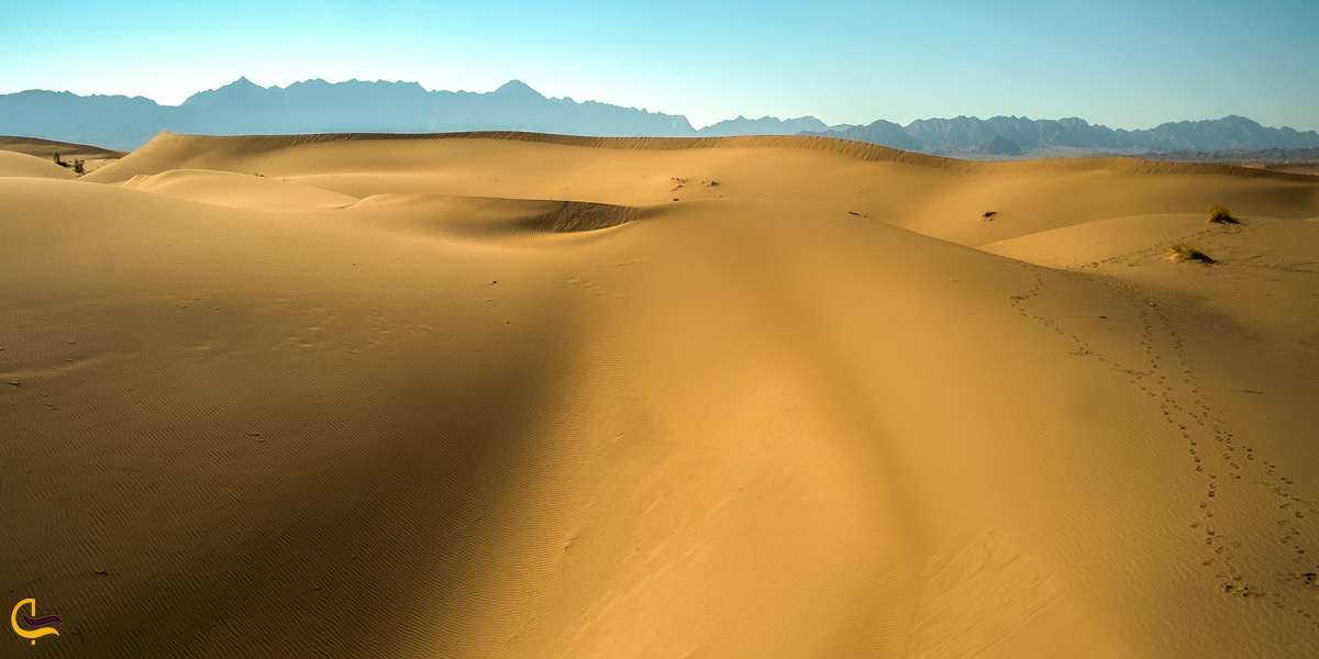 کویر زیبای مصر