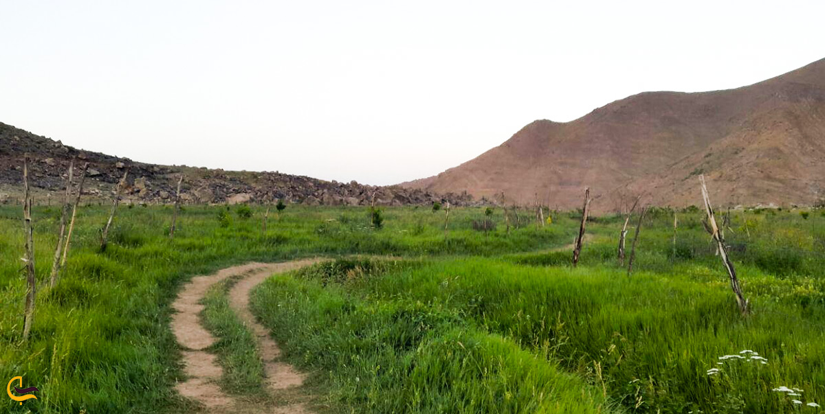 راه رسیدن به افجه