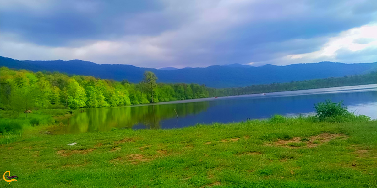 نمایی زیبا از طبیعت سرسبز اطراف دریاچه الندان