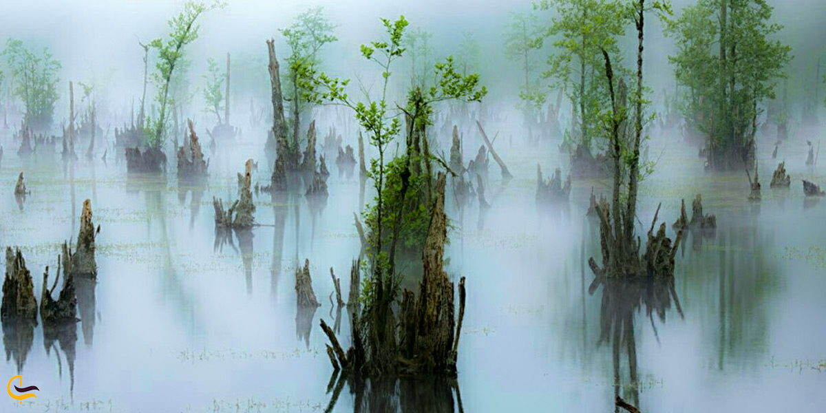 دریاچه ارواح در مه