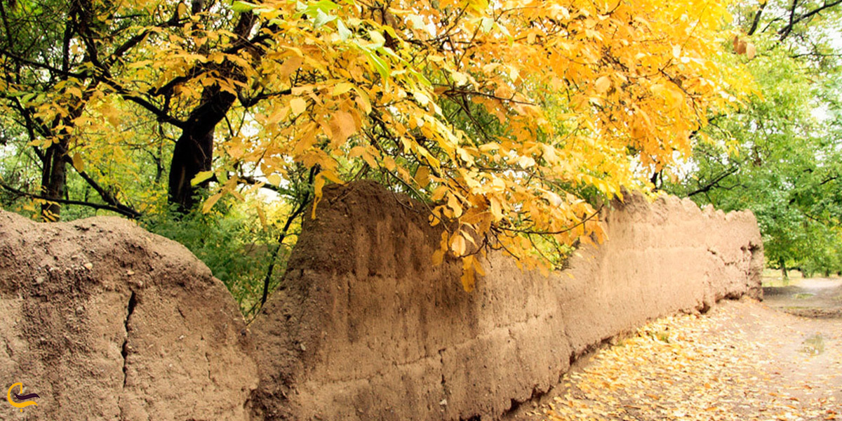 طبیعت زیبای پاییزی در کردان