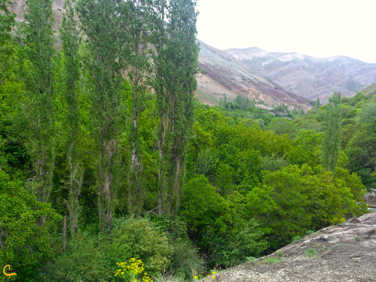 روستای آهار در تابستان