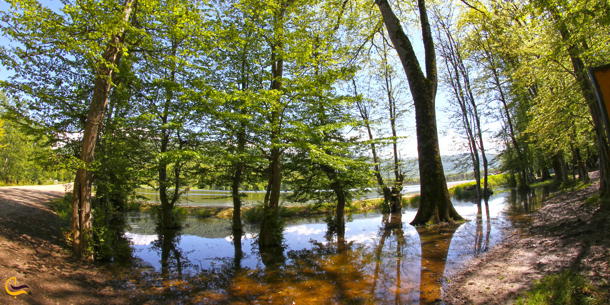 نمای واید از دریاچه الندان