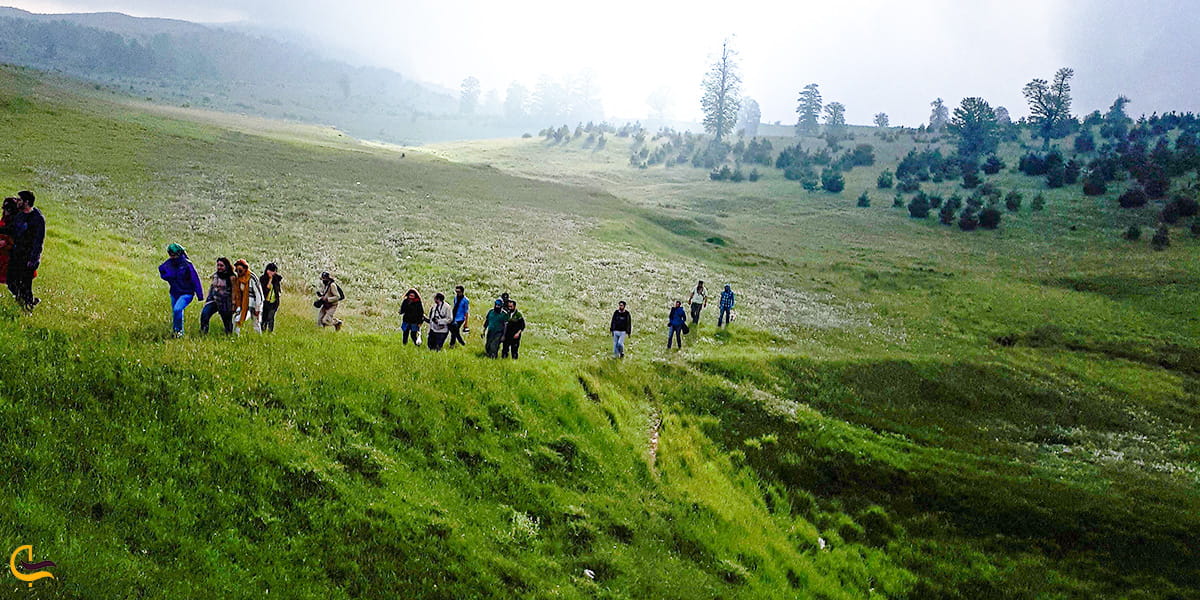 پیاده‌روی در جنگل