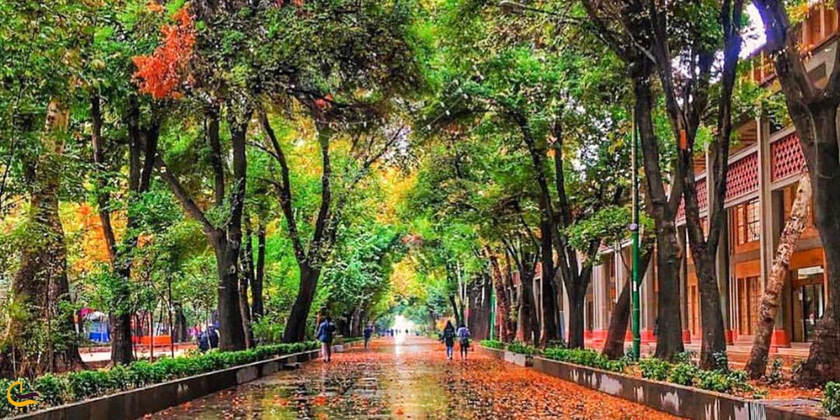 خیابان چهار باغ عباسی