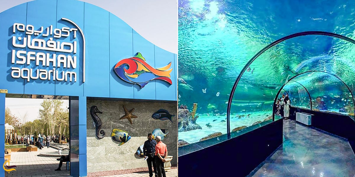 آکواریوم اصفهان
