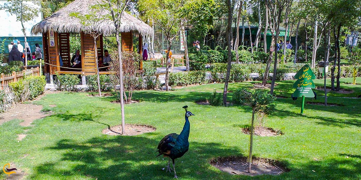 باغ پرندگان اصفهان