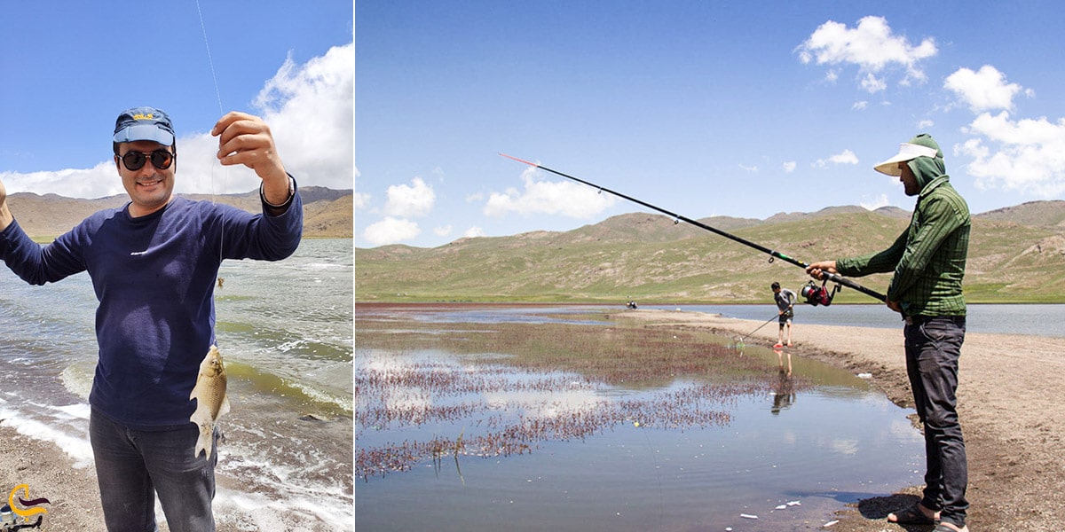 ماهیگیری برای صید قزل آلا رنگین کمانی