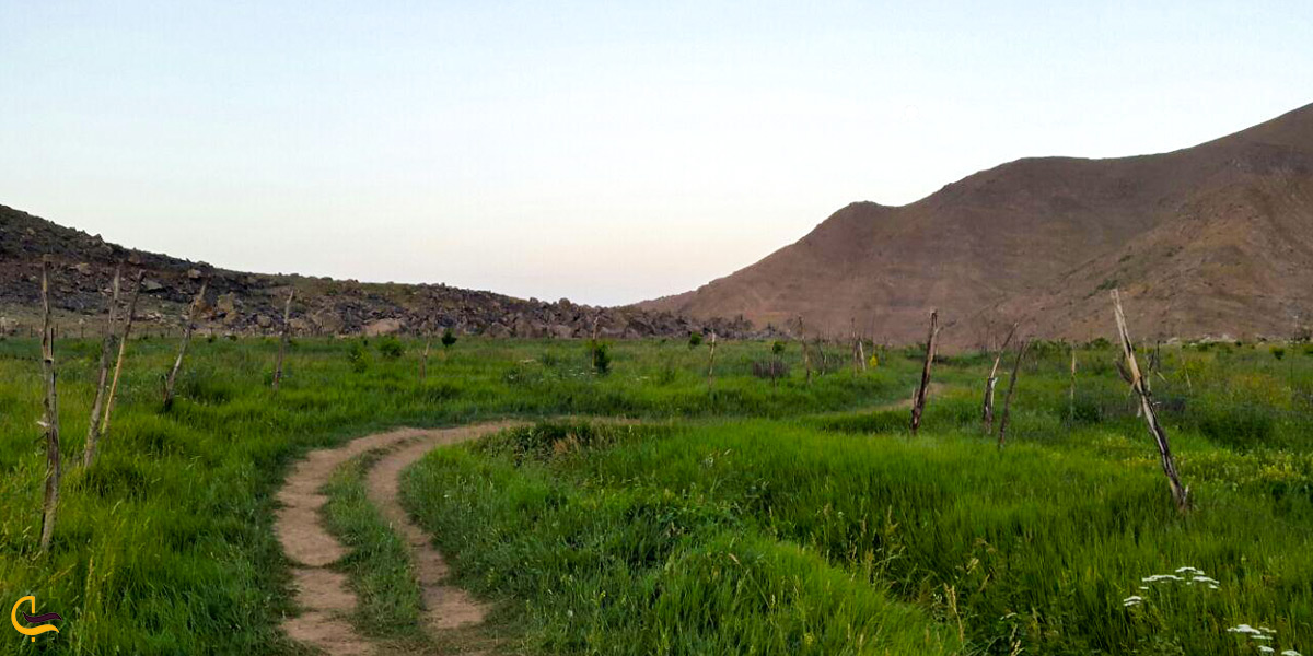 مسیر زیبای رسیدن به دشت هویج