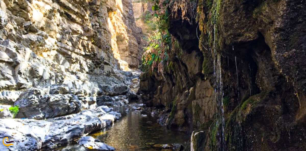 تصویر زیبای اطراف هفت چشمه