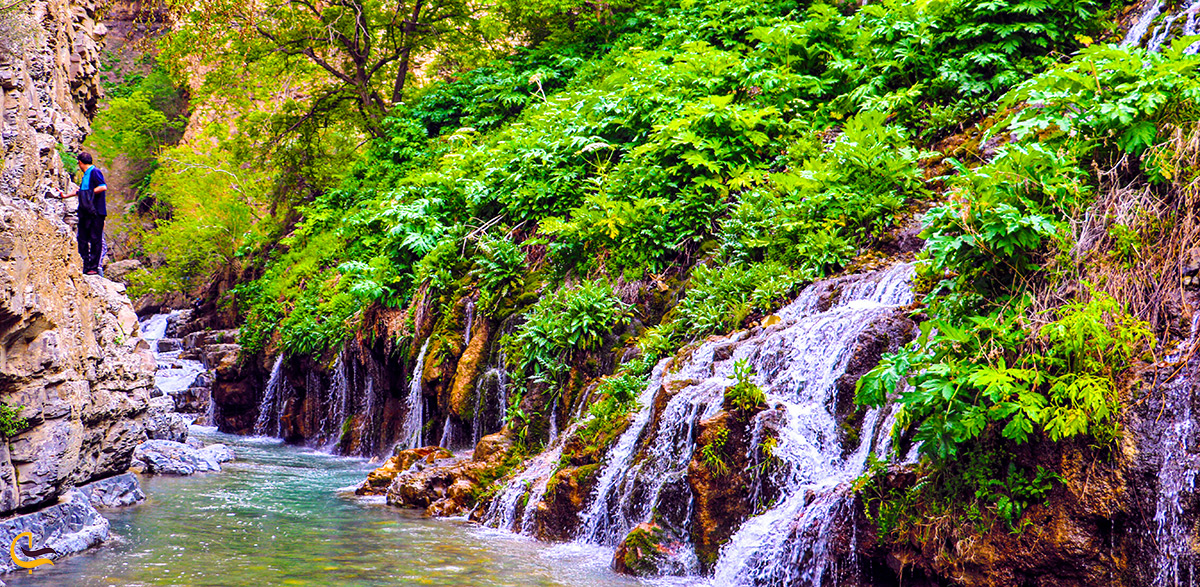 تصویر از نمای دیگر آبشار هفت چشمه