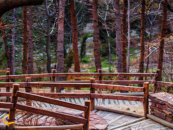پله های چوبی در خرگوش دره