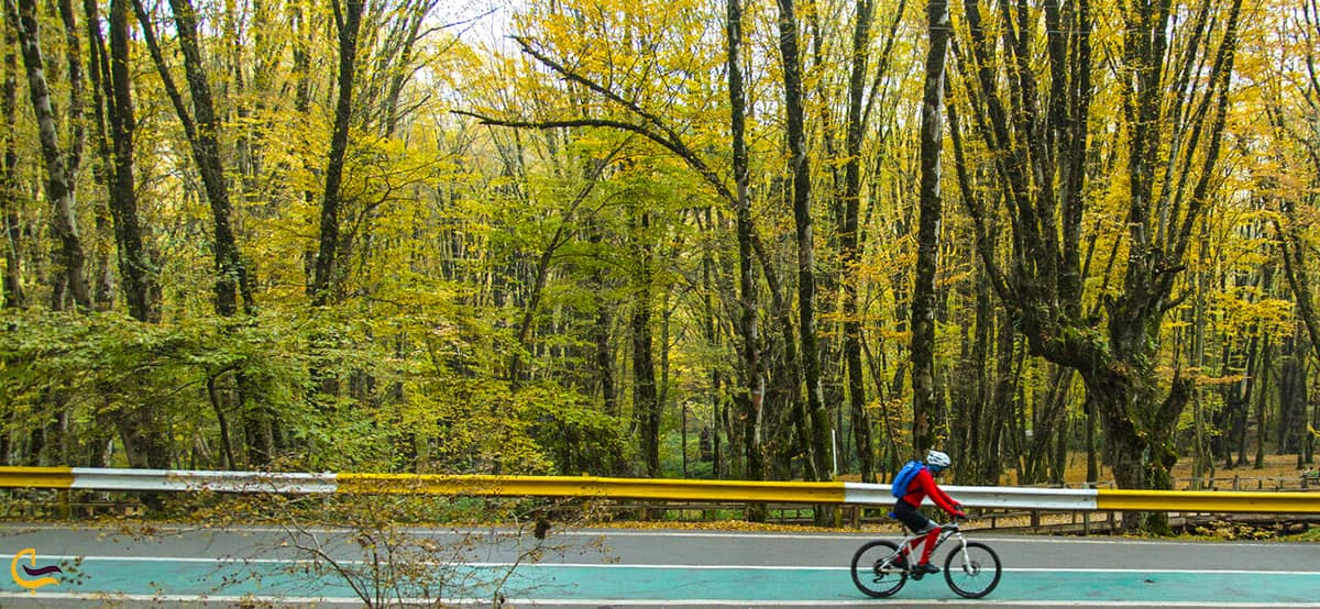 دوچرخه سواری در پیست مخصوص دوچرخه سواران پارک جنگلی النگدره