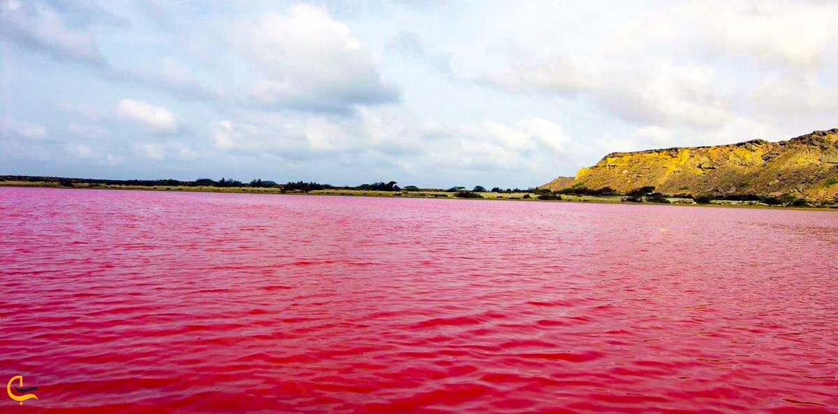 دریاچه لیپار دریاچه صورتی رنگ سواحل مکران