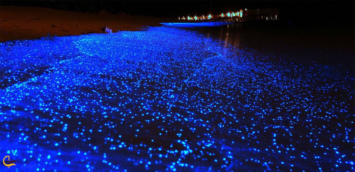 جزیره بسیار زیبای شب تاب و شب های پاییزی و زمستانی به یلد ماندنی در جزیره ی شبتاب و دلیل وجود ستاره های آبی رنگ در جزیره شب تاب چابهار