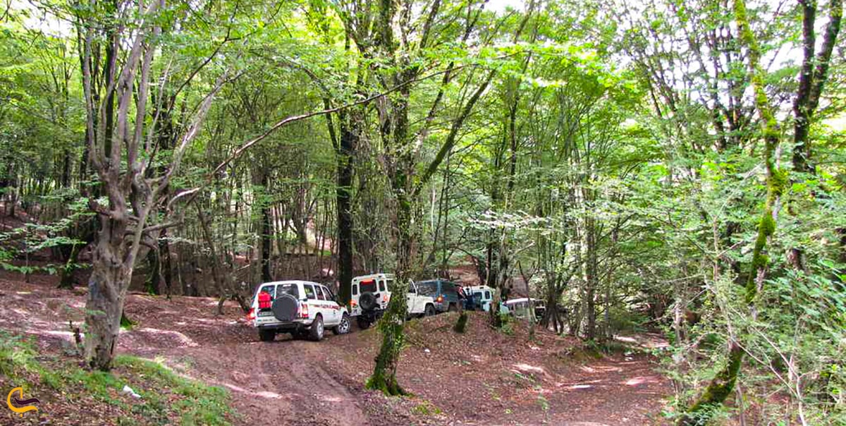 آبشار رنگو در دل جنگل رنگو گرگان و پیاده روی در این جنگل زیبا و سرسبز