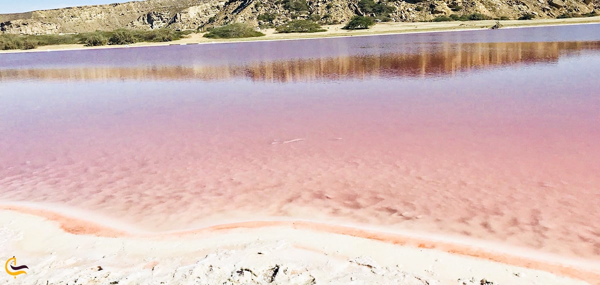 تالاب افسانه ای لیپار و زیبایی باورنکردنی و دلیل صورتی رنگ بودن آب های دریاچه لیپار