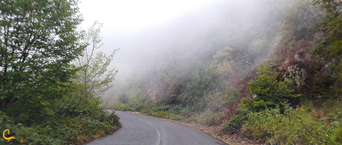 راه زیبا و مه گرفته رفتن به جنگل آینالو و بهترین زمان سفر به این طبیعت بکر و زیبا