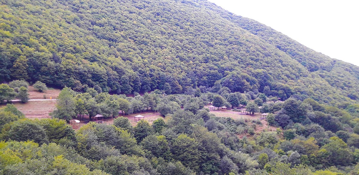 نمای جنگل اینالو از بالا و منظره فوق العاده جنگل های ارسباران آذربایجان شرقی