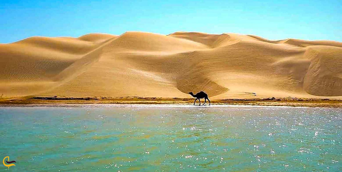 ساحل بسیار زیبای درک دو حال و هوا در یک قاب زیبای وصف نشدنی طبیعت سواحل مکران